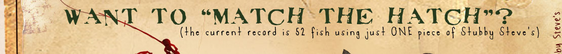 want to "match the hatch"?